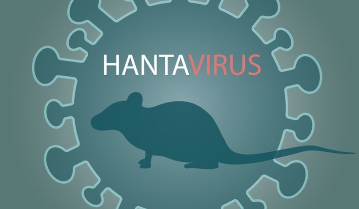 Baca.today-Hantavirus: Gejala, Penularan, dan Cara Pencegahan